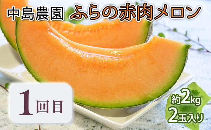 【年3回定期便】【2026年7～8月連続お届け】数量限定！ 美味 ふらのメロン 厳選3農家 コラボ 定期便(2) 食べ比べ 赤肉 2玉×3回 合計6玉 (北海道 富良野市 果物 フルーツ 甘い デザート 産地直送 新鮮 先着順 中島農園 相馬農園 坂口農産)