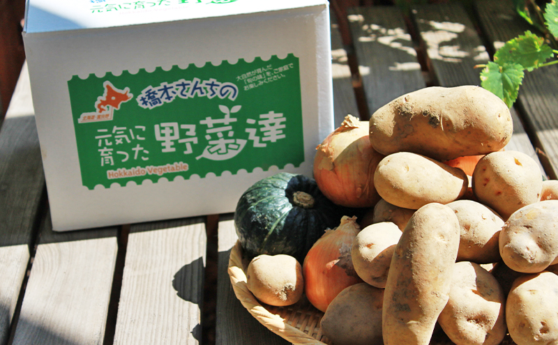 【2026年秋冬発送】富良野 野菜セット 約10kg 人参 かぼちゃ 