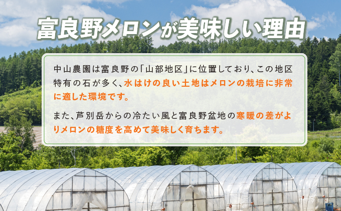 【2026年夏発送】北海道 富良野産 赤肉メロン 1玉 大玉サイズ (中山農園) メロン フルーツ 果物 新鮮 甘い 贈り物 ギフト 道産 ジューシー おやつ ふらの ブランド 夏