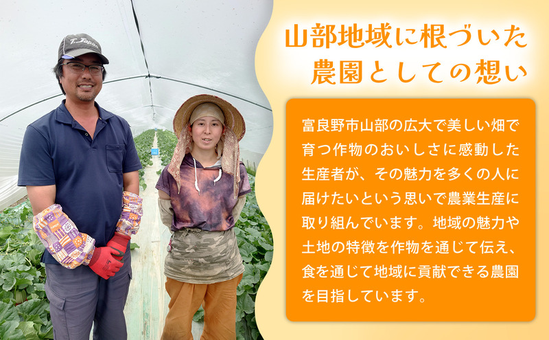 【春野菜 鮮度抜群 】富良野産 アスパラガス サイズ無選別 S～2L混合 2kg×1箱｜北海道富良野市 4～5月上旬発送 シャキシャキ食感 贅沢 ギフト プレゼント アスパラ アスパラガス グリーンアスパラ 料理用 春季限定