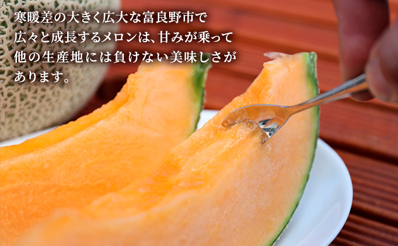 【2026年6月下旬～発送】富良野メロン『NORTH PREMIUM』1玉 約2kg以上 北海道 ふらの (NORTH FUN) メロン フルーツ 果物 新鮮 甘い 贈り物 ギフト 道産 ジューシー おやつ ふらの ブランド 夏