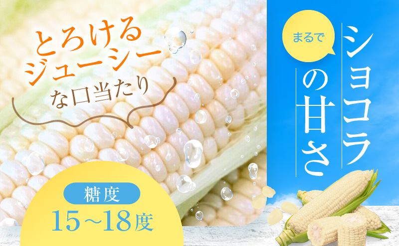 【2026年7月中旬～発送】北海道 富良野産 ホワイトコーン『ホワイトショコラ』BIG 2L サイズ 10本 とうもろこし (NORTH FUN) とうもろこし とうきび コーン 野菜 新鮮 甘い ジューシー 贈り物 ギフト 道産 直送 ふらの とうもろこし トウモロコシ 白とうもろこし ホワイト