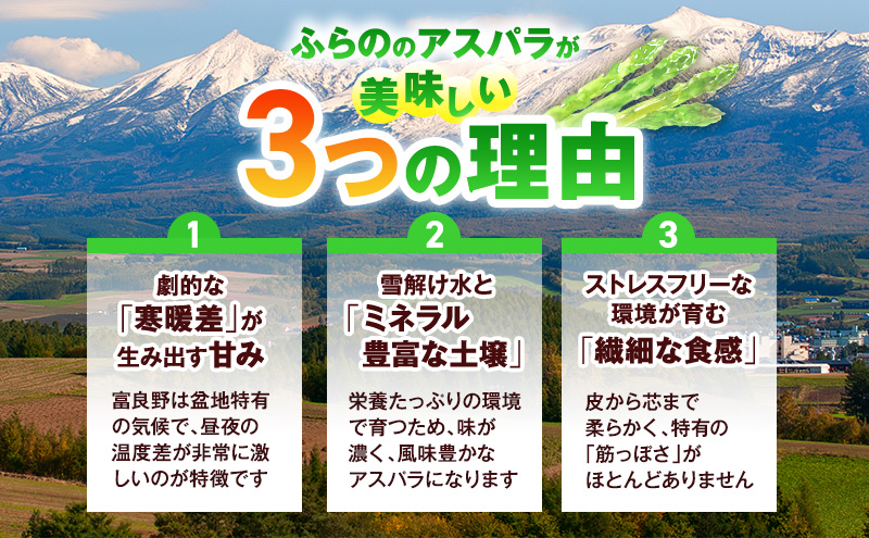 【2026年5月中旬～発送】北海道 富良野産 露地 グリーン アスパラ 2Lサイズ 約1kg (NORTH FUN) 野菜 新鮮 直送 朝採り アスパラガス 道産 北海道 ふらの