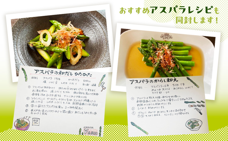 【数量限定・2026年4月初旬頃～発送】富良野 益田農園産 極太 グリーンアスパラガス ≪M～3L混合≫ 約1kg アスパラ 北海道 富良野市 緑アスパラ 野菜 とれたて 朝採り 限定 数量限定 (益田農園)