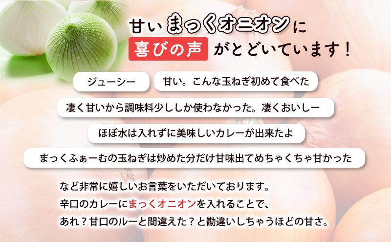 【先行予約】【10月中旬より順次発送】【梨同等の甘さ！ジューシーで甘い玉ねぎが採れました】富良野産たまねぎL 約10kg まっくオニオン 玉ねぎ 北海道 富良野