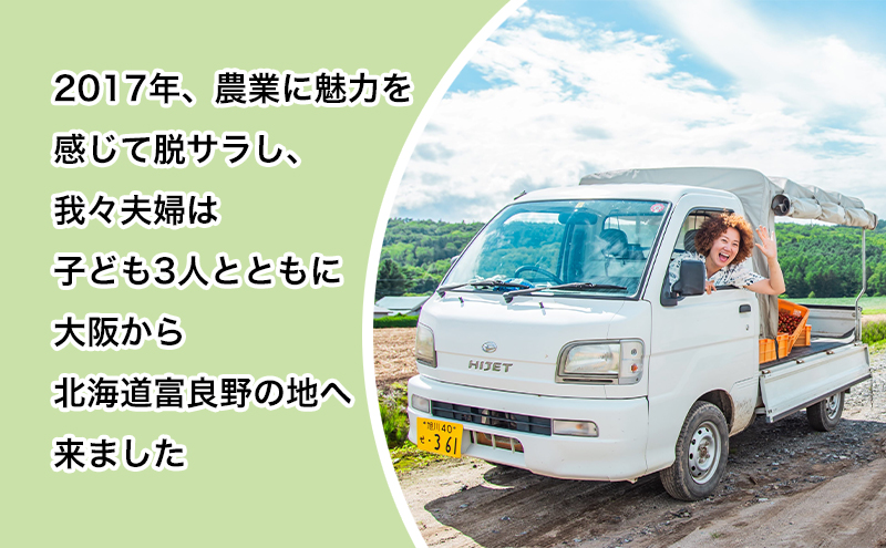 【数量限定・2025年7月中旬～順次発送】富良野 益田農園産 ミニトマト 約1kg トマト ギフト 北海道 富良野市 野菜 とれたて 新鮮 限定 数量限定 (益田農園)