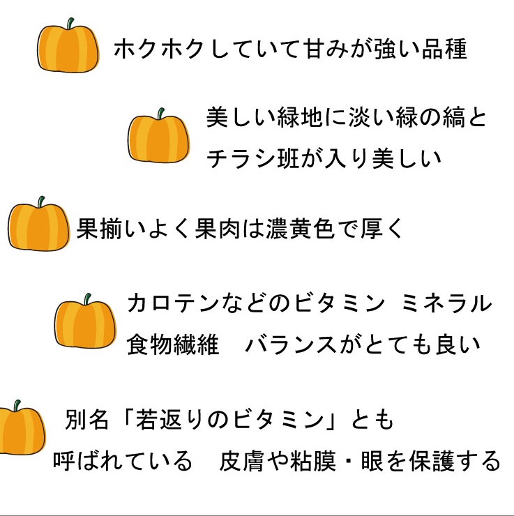 2026年秋発送【数量・期間限定】ふらの産 かぼちゃ10kg［くり大将］ 富良野 北海道 カボチャ 南瓜 甘い 野菜