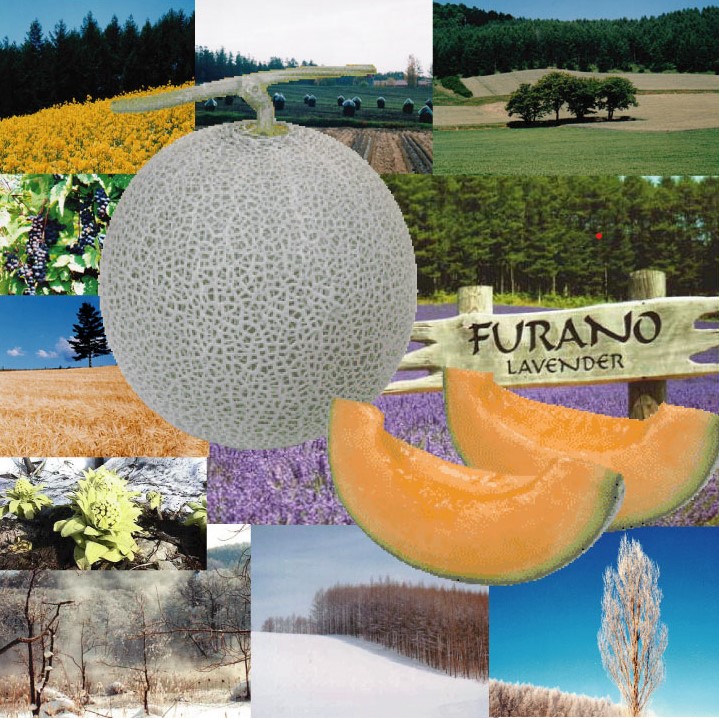 2026年夏発送【先行受付】 ふらのメロン 赤肉 特大玉2玉［1玉2.25kg以上］計4.5kg以上 富良野メロン 赤肉 めろん 北海道 甘い 大きい 果物 フルーツ