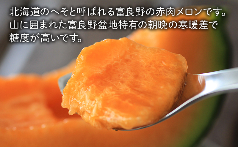 2026年夏～発送 富良野を堪能！贅沢 定期便 年3回 北海道 富良野産 とうもろこし メロン かぼちゃ 野菜 ふらの とうきび