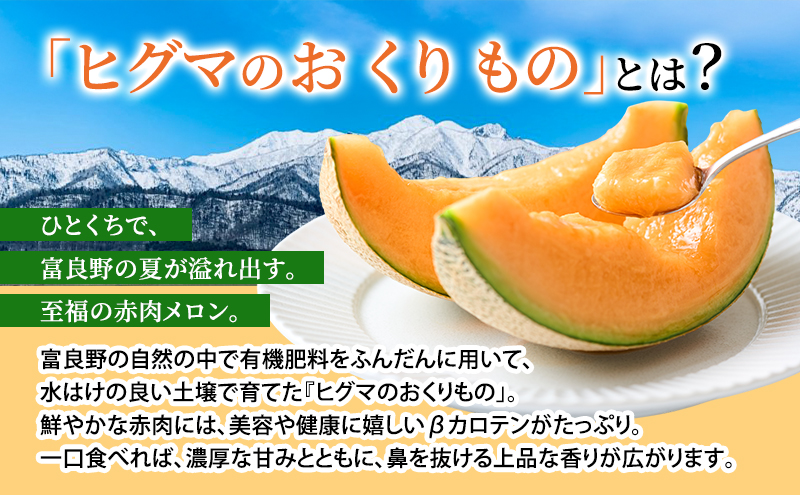 北海道 富良野産 ヒグマのおくりもの(メロン)[2玉 1.6～2kg未満/玉] メロン フルーツ 果物 新鮮 甘い 贈り物 ギフト 道産 ジューシー おやつ ふらの ブランド 夏