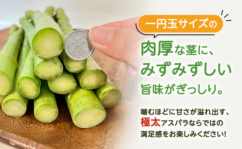 ＜2026年春出荷＞富良野産 アスパラ 1kg L-2Lサイズ 野菜 アスパラガス グリーンアスパラ あすぱら 春野菜 北海道 (畠山農園）