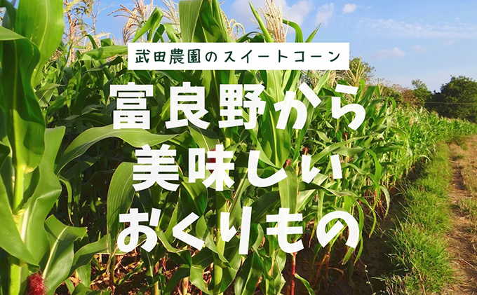 2026年夏発送 ［武田農園とれたて直送］スイートコーン どきどきコーン 2L 10本 北海道 富良野産 とうもろこし 野菜 新鮮 とうきび 甘い 産地直送 先行予約 限定