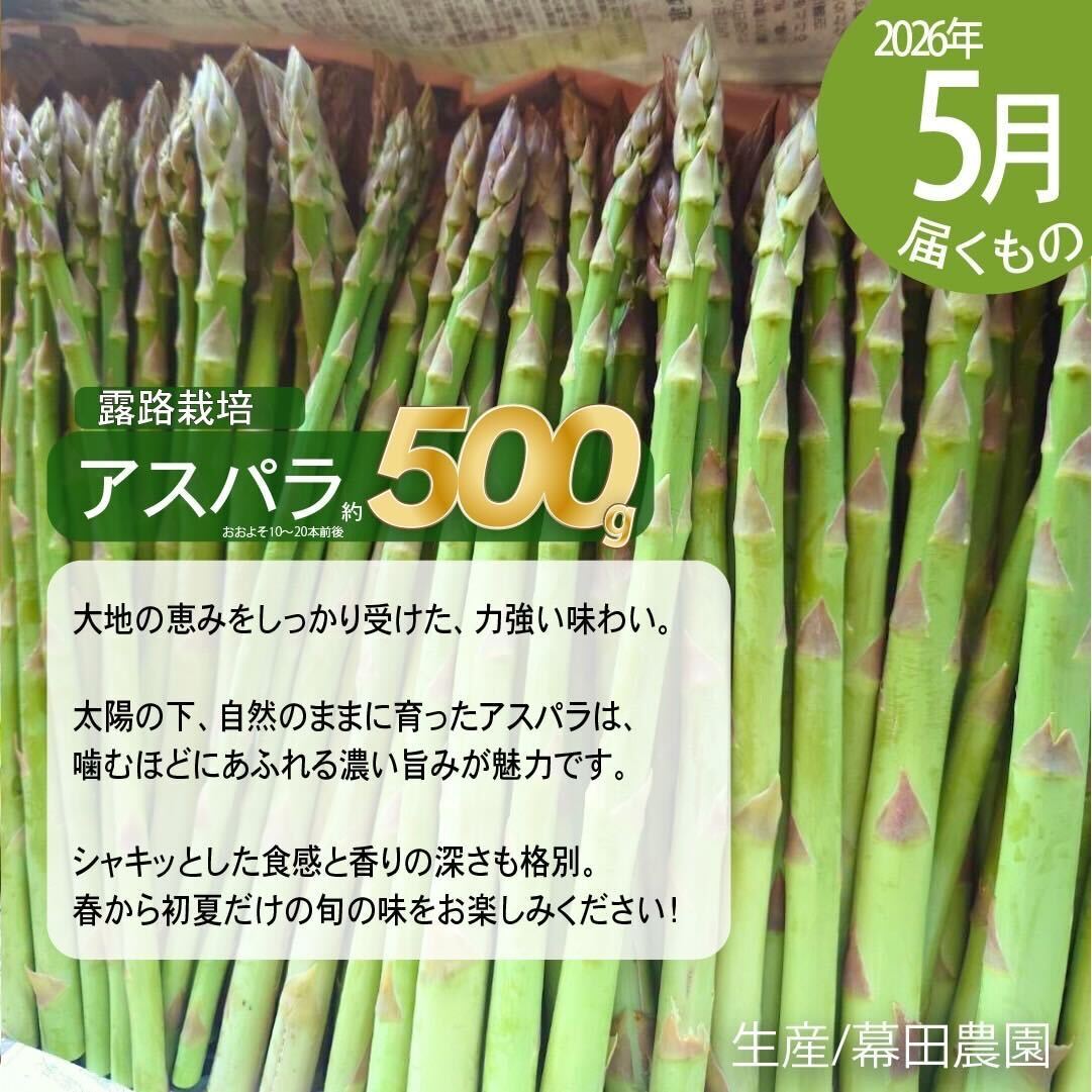 【2026年春発送】富良野産 アスパラ 食べ比べ 全2回定期便 アスパラ ハウス栽培 露地栽培 北海道 富良野市 緑アスパラ 野菜 とれたて 朝採り 食べくらべ 定期便 数量限定