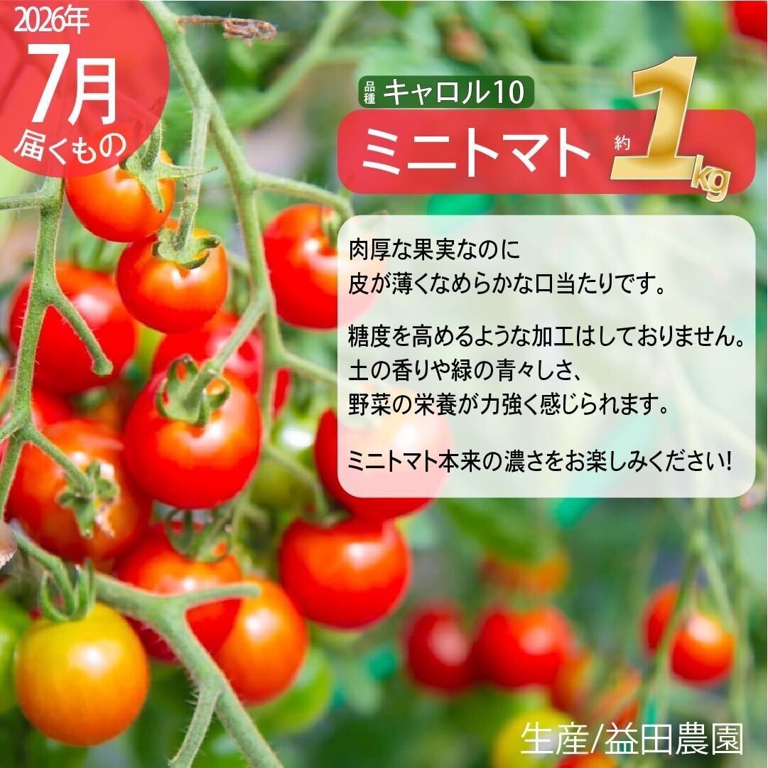【2026年発送】全5回 富良野 専門農家が選ぶ 旬の贅沢 定期便 北海道 富良野市 老節布 野菜 アスパラ ハウス 露地 ミニトマト とうもろこし スイートコーン 玉ねぎ たまねぎ 玉葱 甘い