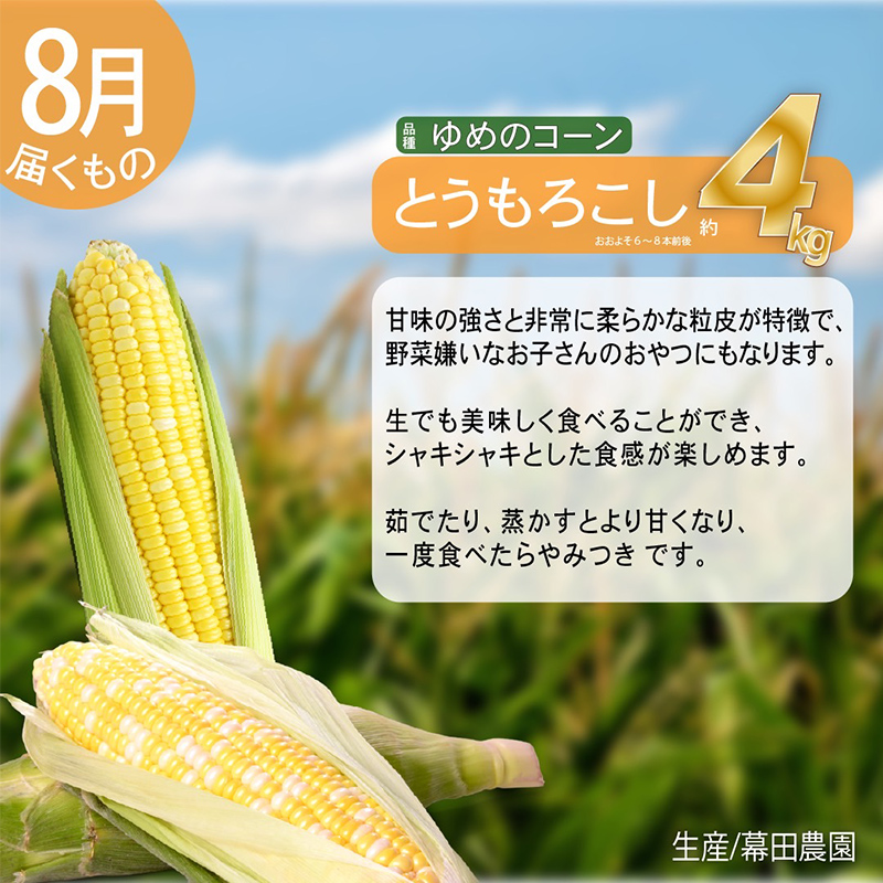 【2025年発送】全3回 富良野 専門農家が選ぶ 旬の贅沢定期便 北海道 富良野市 老節布 野菜 ミニトマト とうもろこし スイートコーン 玉ねぎ たまねぎ 玉葱 白玉ねぎ 甘い