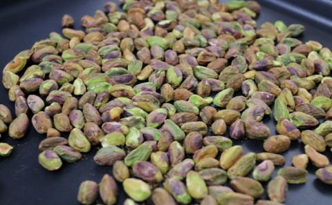 ジェラート　ピスタチオ1L（おまけ付）【富良野　はっぱジェラート】≪配送不可地域：沖縄県、離島≫ アイス ジェラード デザート 北海道 富良野市 道産 直送 ふらの 贈り物 ギフト