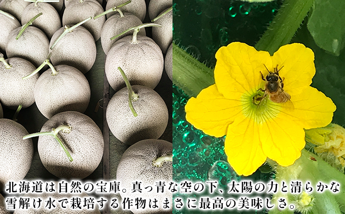 【2026年6月下旬～発送】特選 ふらの メロン 3玉 計約6kg 北海