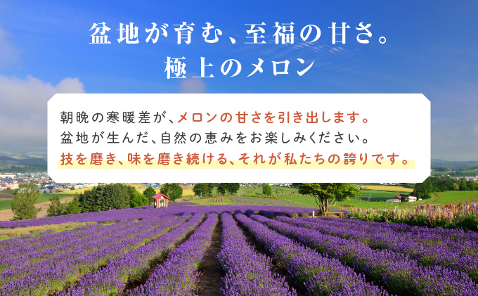 【2026年6月～発送】富良野 赤肉 メロン 2玉入 計4kg前後 大玉