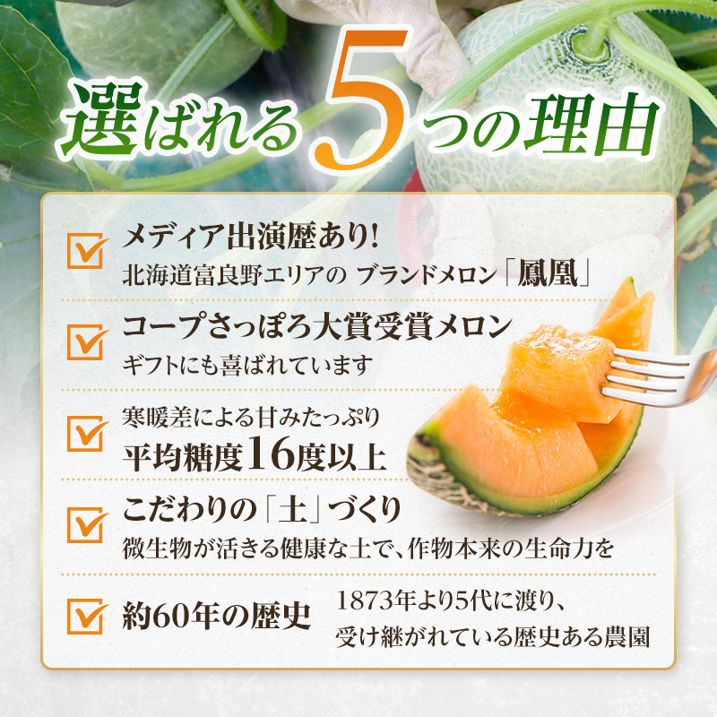 【2026年夏発送】富良野メロン 山部の絶品『鳳凰』3L 2玉 計4