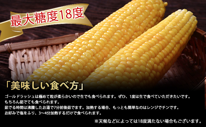 【2026年夏発送】とうもろこし ゴールドラッシュ 10本 北海