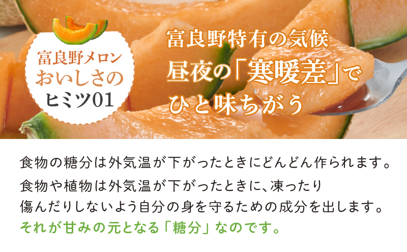 【数量限定！】※訳あり※ 富良野 メロン 約4kg〈2玉～4玉入