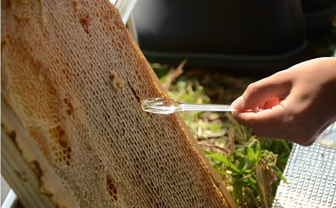 『ビーキーパー養蜂体験』2名様・体験参加チケット【もっと富良野が好きになる！地元体験プログラム／ウレシパ・フラノ】