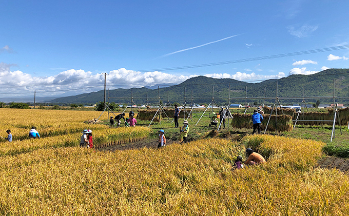 ウレシパ・フラノ「富良野発見！体験プログラム」年間フリーパスチケット