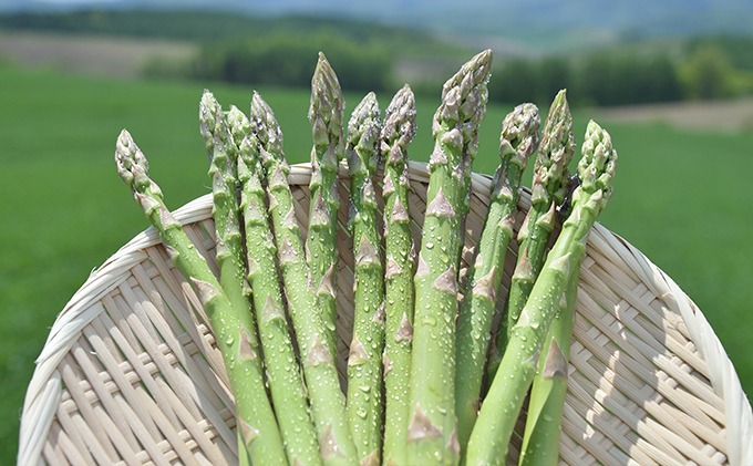 【2025年4月上旬より発送】北海道 富良野市産 グリーン アスパラ Lサイズ 約1.5kg 秀品 150g×10束 (JAふらの) 野菜 新鮮 直送 朝採り アスパラガス 道産 北海道 ふらの 小分け アスパラ