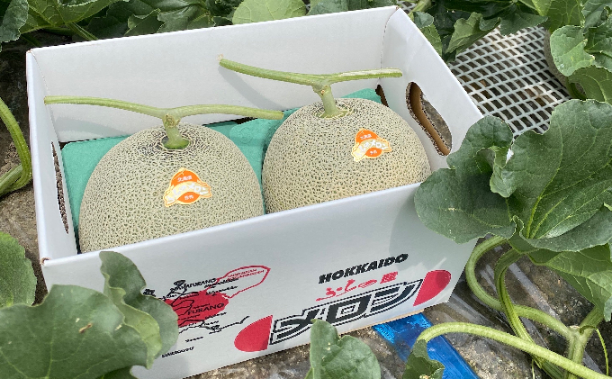 【2025年7月上旬～発送】ふらの 赤肉 メロン 2kg以上×2玉 北海道 富良野市（高見農園）メロン フルーツ 果物 新鮮 甘い 贈り物 ギフト 道産 ジューシー おやつ ふらの ブランド 夏