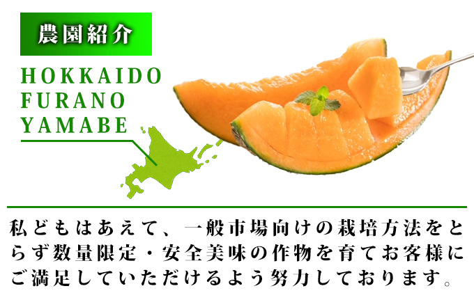 【2026年6月より順次発送】ふらの山部の絶品メロン『鳳凰』3L（2～2.5kg）×2玉（坂口農産）メロン フルーツ 果物 新鮮 甘い 贈り物 ギフト 道産 ジューシー おやつ ふらの ブランド 夏