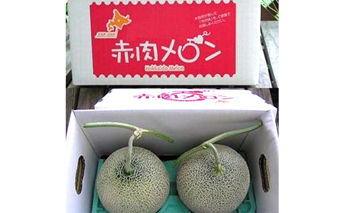 【2026年7月中旬～発送】北海道 富良野 メロン 2Lサイズ 1.5kg以上×2玉 (スイートベジタブルファクトリー) メロン フルーツ 果物 新鮮 甘い 贈り物 ギフト 道産 ジューシー おやつ ふらの ブランド 夏