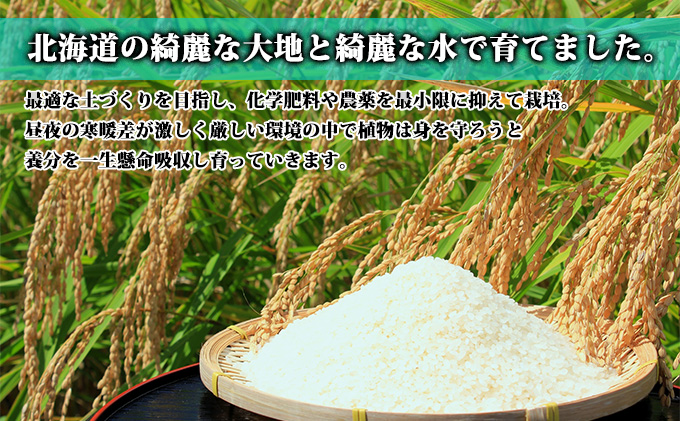 【北海道富良野産】無洗米 ゆめぴりか 10kg  (お米 米 ご飯 ごはん 白米 定期 送料無料 北海道 富良野市 道産 直送 ふらの)