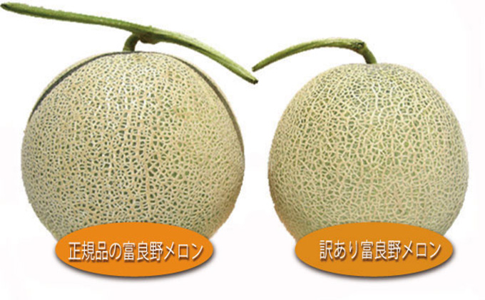 【2026年7月中旬～発送】※訳あり※ 富良野 メロン 約4kg〈2玉～4玉入り〉北海道 富良野市(スイートベジタブルファクトリー) メロン フルーツ 果物 新鮮 甘い 贈り物 ギフト 道産 ジューシー おやつ ふらの ブランド 夏