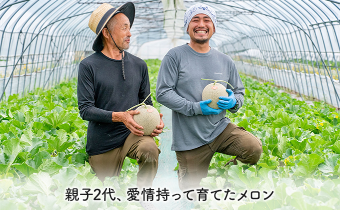 【2026年夏発送】北海道 富良野産 赤肉メロン 3玉 1.5kg～2kgサイズ ふらの メロン ギフト 果物 赤玉(榎本農園) メロン フルーツ 果物 新鮮 甘い 贈り物 ギフト 道産 ジューシー おやつ ふらの ブランド 夏