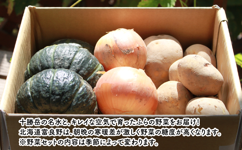 【2026年秋冬発送】富良野 野菜セット 約10kg 人参 かぼちゃ 