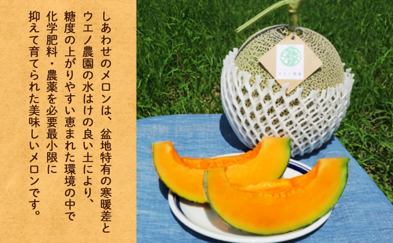 ＜2026年発送 先行受付＞ふらの産 しあわせのメロン キングメルティ 青肉 2玉 計3.2kg メロン 富良野メロン 果物 フルーツ 甘い スイーツ ギフト 贈答 送料無料 ウエノ農園 北海道 富良野市