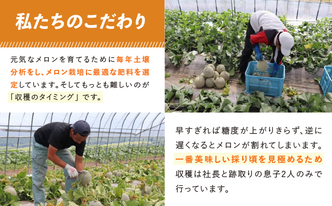 テレビで紹介されました！【2026年夏発送】北海道 富良野産 赤肉メロン 2玉 大玉サイズ (中山農園) メロン フルーツ 果物 新鮮 甘い 贈り物 ギフト 道産 ジューシー おやつ ふらの ブランド 夏