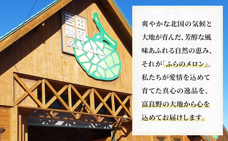 【2026年8月下旬より発送】北海道 富良野 メロン 赤肉 約1.8kg×2玉 メロン フルーツ 果物 新鮮 甘い 贈り物 ギフト 道産 ジューシー おやつ ふらの ブランド 夏 (吉田農園)
