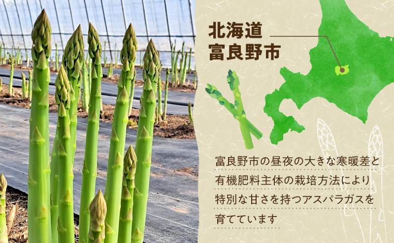 【2026年4月～発送】朝採り 富良野市 グリーン アスパラ 2Lサイズ 約1kg (仁田原ファーム) 野菜 新鮮 太い 直送 朝採り アスパラガス 道産 北海道 ふらの