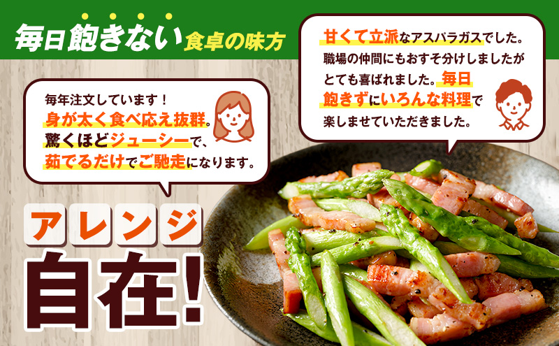 【2026年5月中旬～発送】北海道 富良野産 露地 グリーン アスパラ Lサイズ 約1kg (NORTH FUN) 野菜 新鮮 直送 朝採り アスパラガス 道産 北海道 ふらの