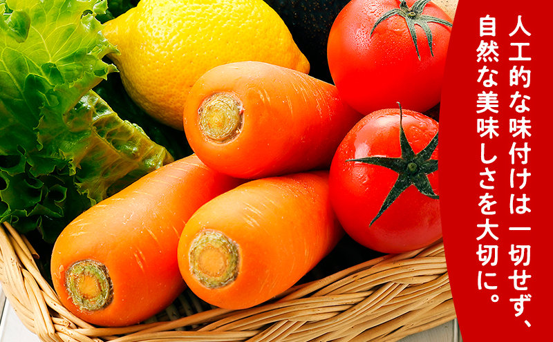 【 6ヵ月 定期便 】ふらの にんじん100 160g×30本入　野菜  ジュース  (ジュース 野菜ジュース 飲み物 缶 北海道 送料無料 道産 富良野市 ふらの)