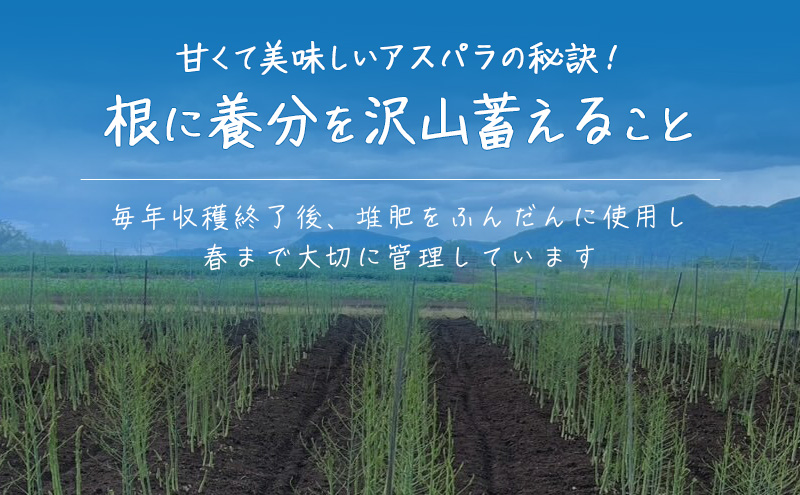 ［武田農園とれたて直送］グリーンアスパラ 2L 2kg やわらかくて抜群にあまい！北海道 富良野産 (アスパラガス アスパラ 野菜 新鮮 産地直送 先行予約 限定)