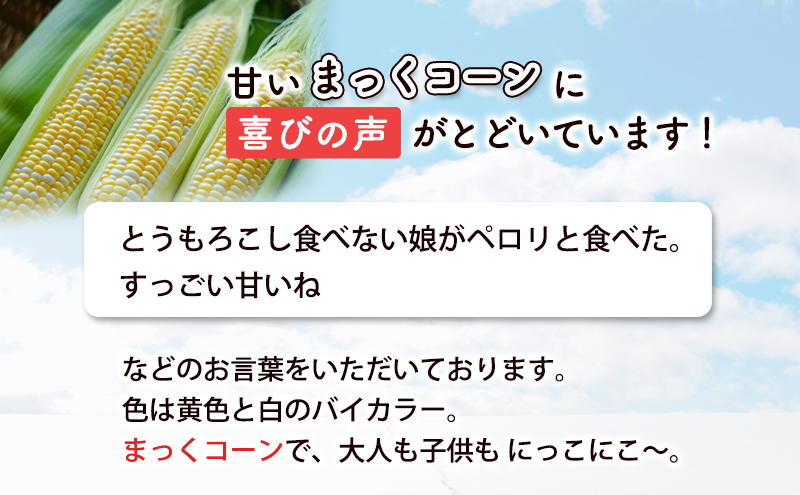 2026年発送 富良野産 生のまま食べれる！とうもろこし まっくコーン　11本　北海道 富良野市 とうきび とうもろこし 旬 季節 ふらの 甘い コーン