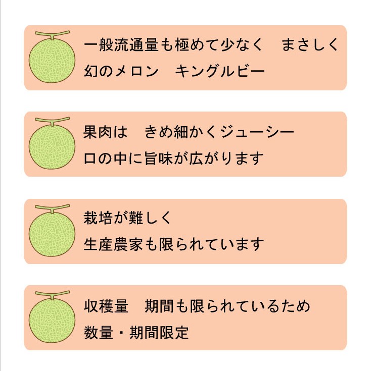 2026年夏発送 【数量・期間限定】 ふらのメロン キングルビー 秀大2玉［1玉2kg以上］計4kg以上 富良野メロン 赤肉 めろん 北海道 甘い 大きい
