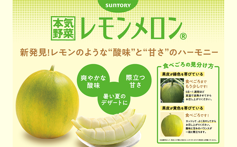 【希少！数量限定先行予約 2026年発送】 レモンメロン 3Lサイズ 1玉 北海道 富良野産 レモン メロン 新品種 富良野市 ふらの お中元 ギフト 水戸青果 送料無料
