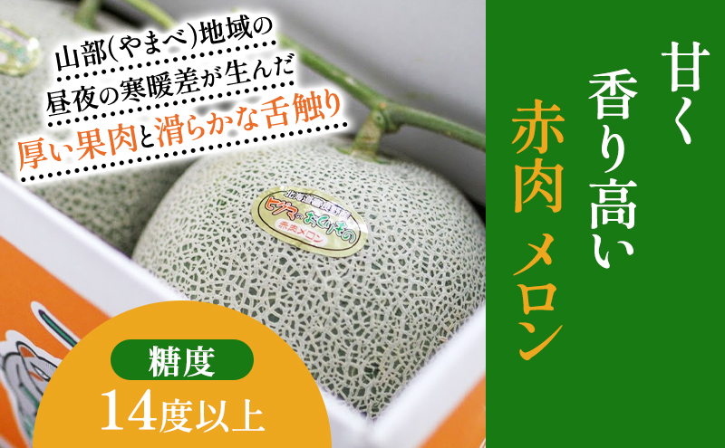 北海道 富良野産 ヒグマのおくりもの(メロン)[5玉 1.6～2kg未満/玉] メロン フルーツ 果物 新鮮 甘い 贈り物 ギフト 道産 ジューシー おやつ ふらの ブランド 夏