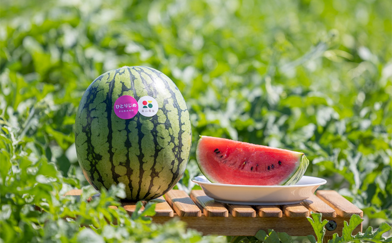 【2026年夏発送】（数量限定）黒こだまスイカ 1玉＋ひとりじめスイカ1玉セット 北海道 富良野産 すいか 西瓜   夏 フルーツ ふらの 甘い 糖度 大玉 ギフト (畠山農園）