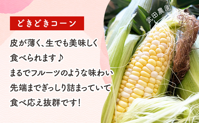 2026年夏発送 ［武田農園とれたて直送］スイートコーン どきどきコーン 2L 10本 北海道 富良野産 とうもろこし 野菜 新鮮 とうきび 甘い 産地直送 先行予約 限定