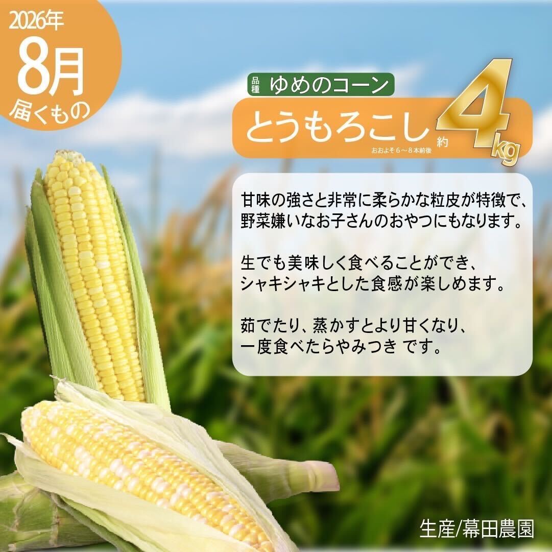【2026年発送】全5回 富良野 専門農家が選ぶ 旬の贅沢 定期便 北海道 富良野市 老節布 野菜 アスパラ ハウス 露地 ミニトマト とうもろこし スイートコーン 玉ねぎ たまねぎ 玉葱 甘い