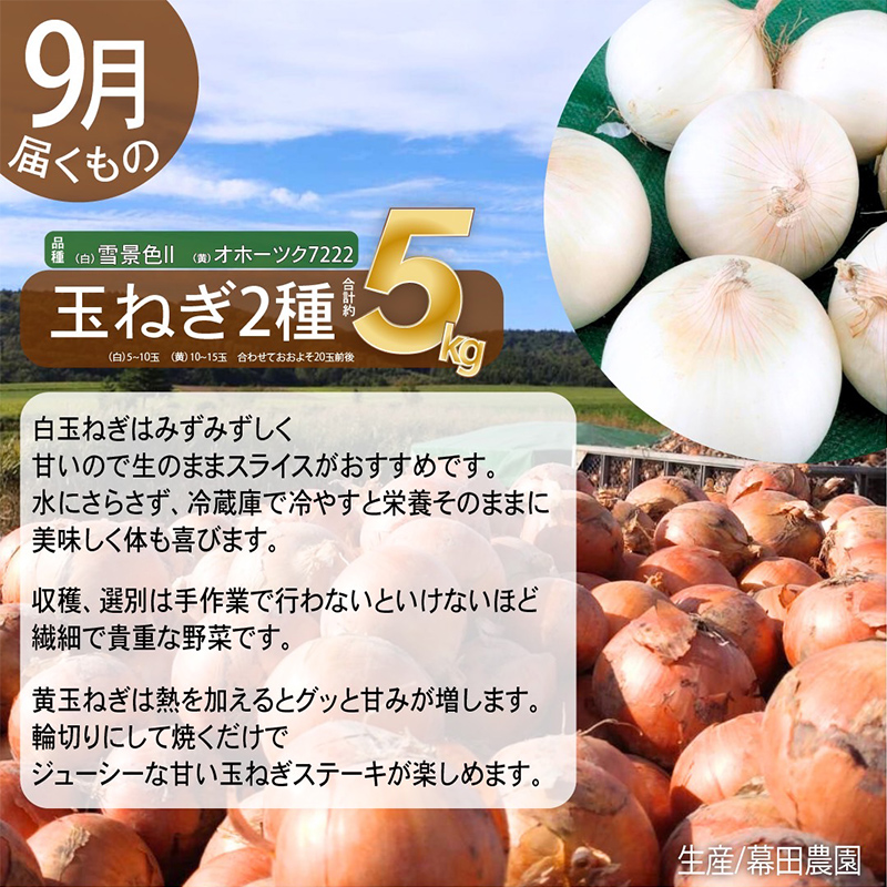 【2025年発送】全3回 富良野 専門農家が選ぶ 旬の贅沢定期便 北海道 富良野市 老節布 野菜 ミニトマト とうもろこし スイートコーン 玉ねぎ たまねぎ 玉葱 白玉ねぎ 甘い